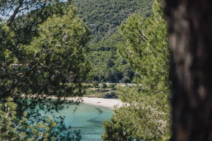 plage corse du sud sauvage